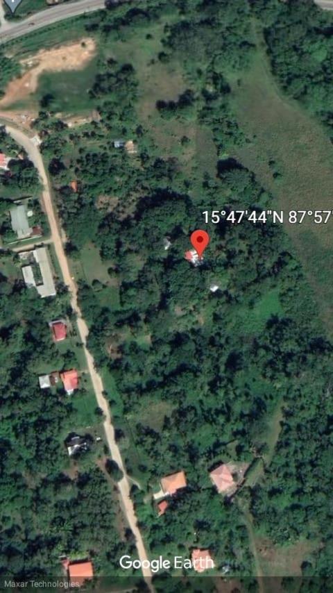 Plasencia Estate Omoa Kültér fotó