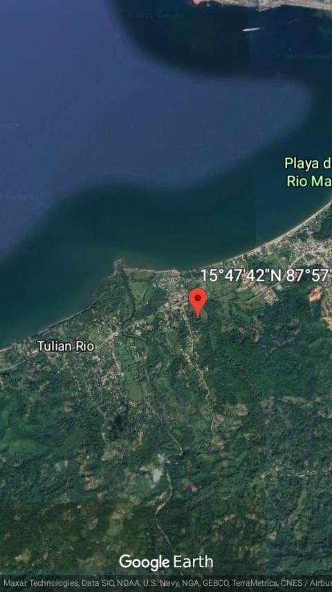 Plasencia Estate Omoa Kültér fotó