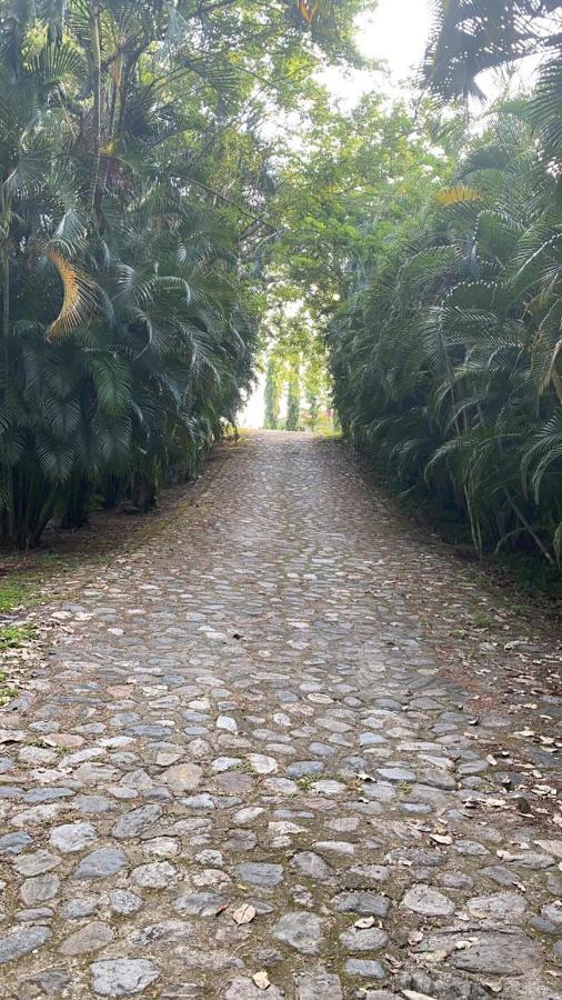 Plasencia Estate Omoa Kültér fotó