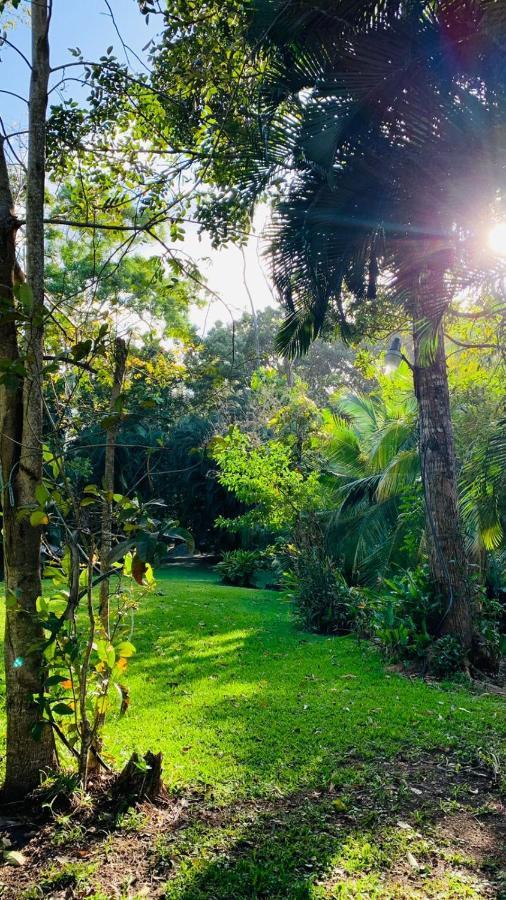 Plasencia Estate Omoa Kültér fotó