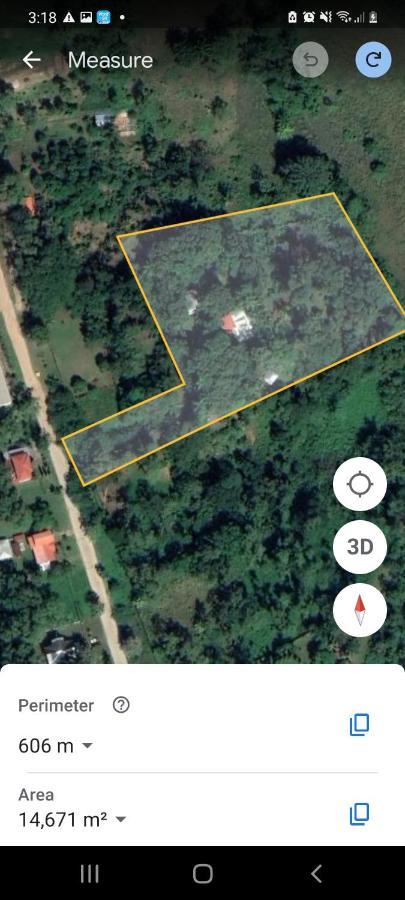 Plasencia Estate Omoa Kültér fotó
